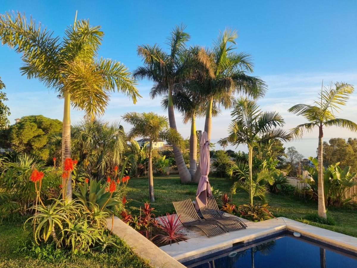 Bed & Breakfast In Villa Eden Palm เบนัลมาเดนา ภายนอก รูปภาพ