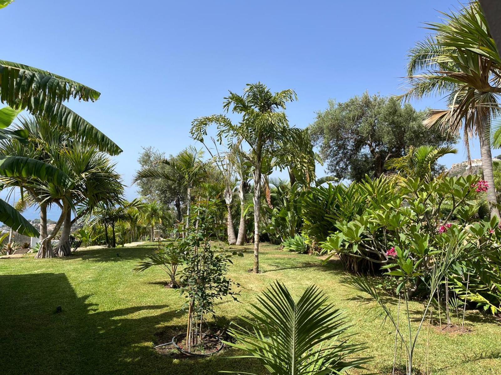 Bed & Breakfast In Villa Eden Palm เบนัลมาเดนา ภายนอก รูปภาพ
